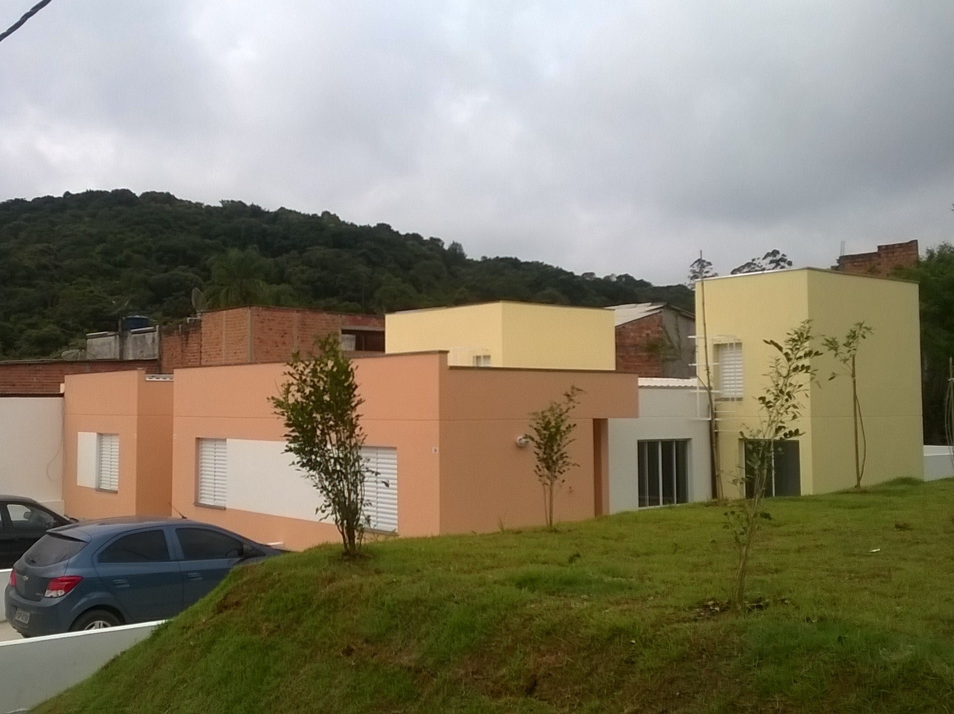 Cocaia
