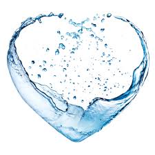 Água contribui na formação da saliva e do suco gástrico